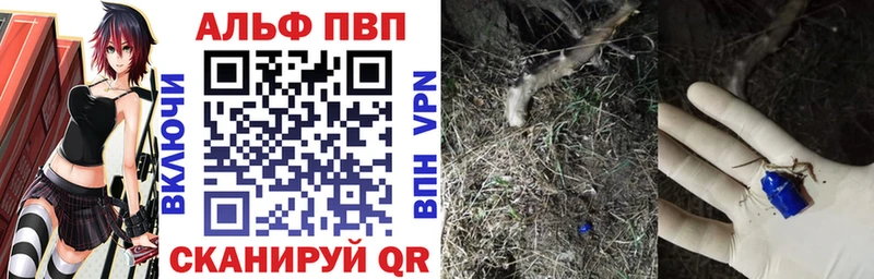 Alpha-PVP СК КРИС  blacksprut вход  Егорьевск  наркота 