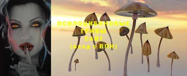 первитин Абинск