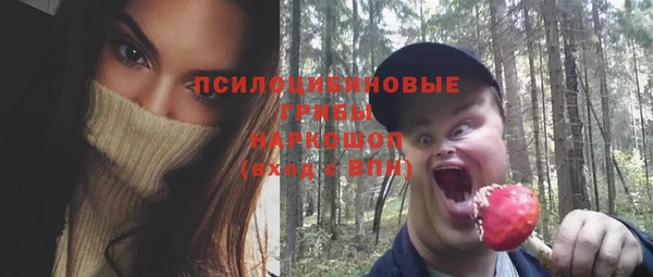 стаф Абдулино