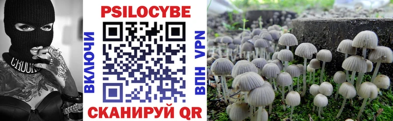 Псилоцибиновые грибы MAGIC MUSHROOMS  где купить   МЕГА ссылки  Егорьевск 