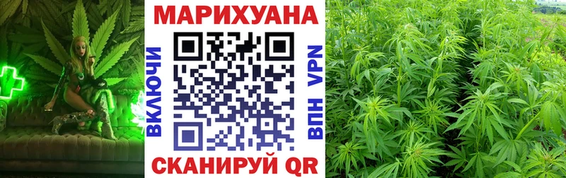 как найти наркотики  Егорьевск  ссылка на мегу маркетплейс  Канабис семена 